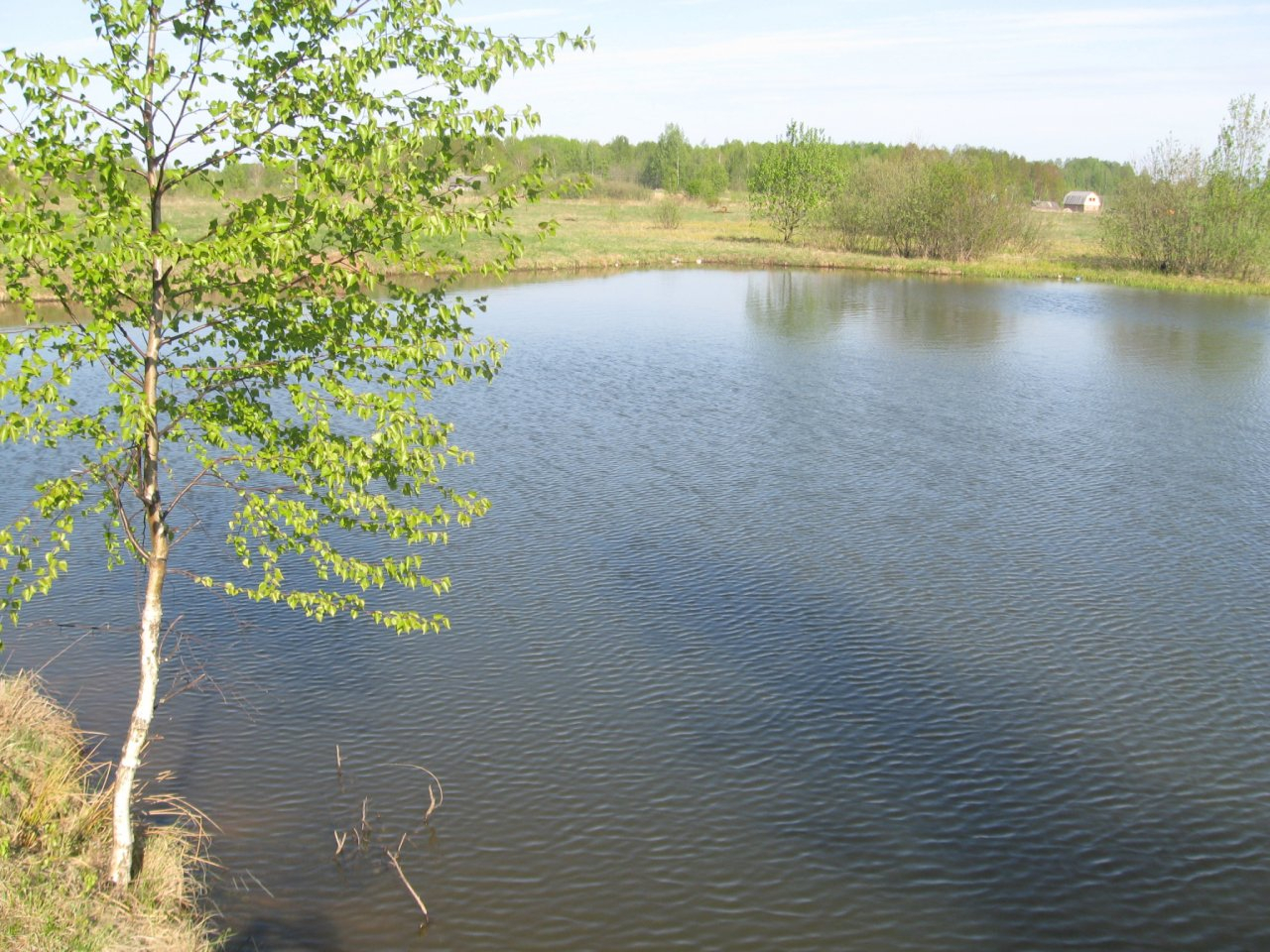 В Кировской области в пруду утонул 24-летний парень