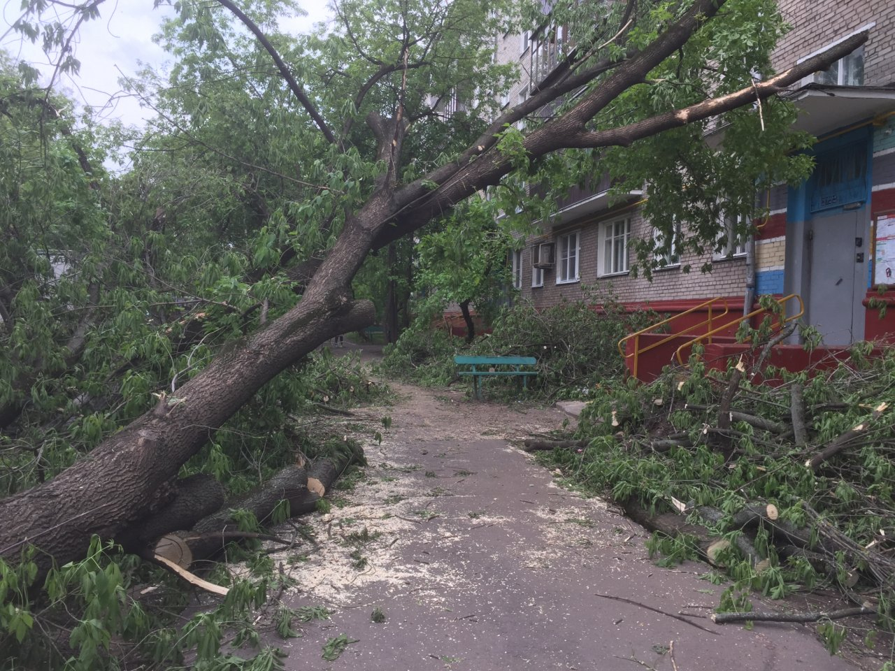 МЧС предупреждают об опасном сильном ветре в Кировской области