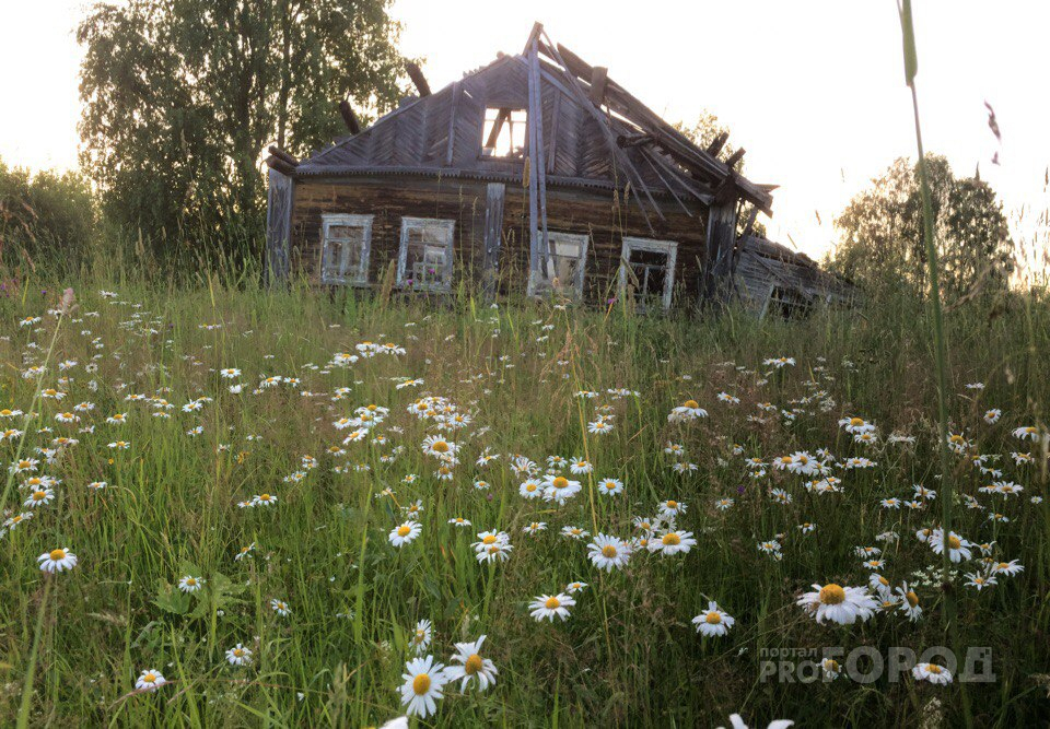 В Кировстате рассказали о самых вымирающих районах Кировской области
