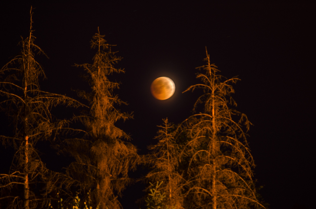Что обсуждают в Кирове: вымирающие районы Кировской области и фото лунного затмения