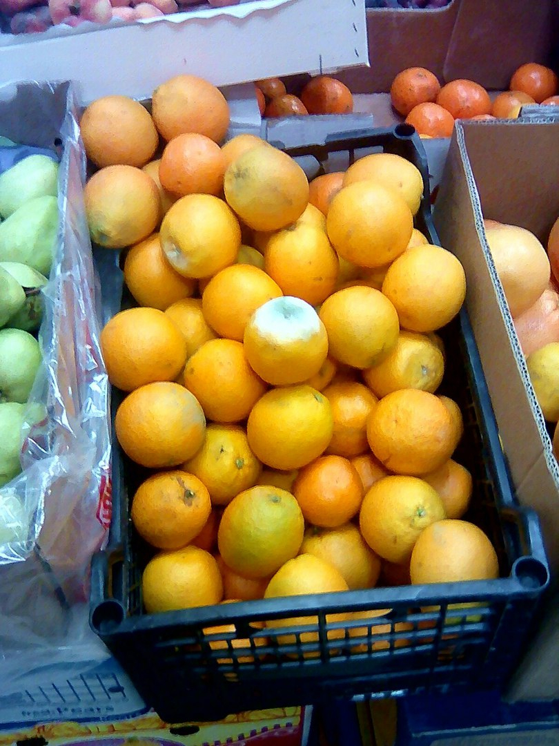 В детский сад в Кирове поставили гнилые апельсины