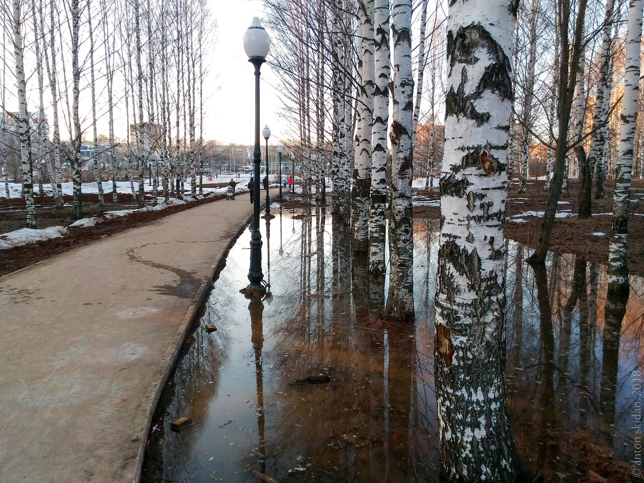 кочуровский парк киров