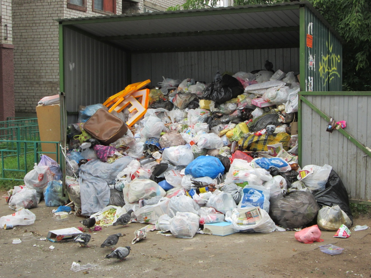 Коммунальщики объяснили, почему в Кирове не убирают контейнеры с мусором