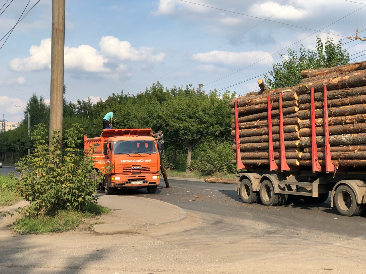 На Луганской лесовоз повредил опору ЛЭП и оборвал провода: движение в районе парализовано