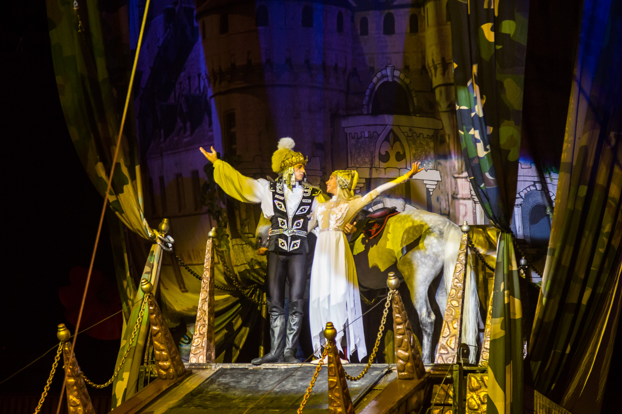 Уникальный цирк, покоривший 25 стран мира, едет в Киров!