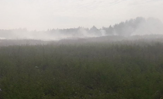 В Кировской области больше недели горит крупный мусорный полигон