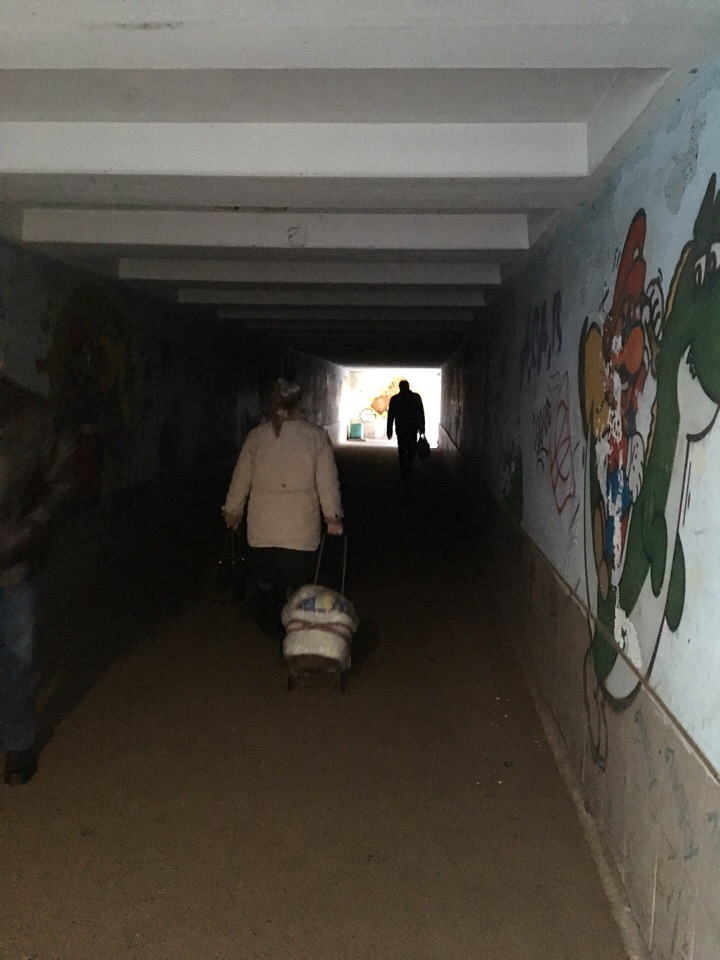 Фото дня: в Кирове нашли тоннель страха для первоклассников