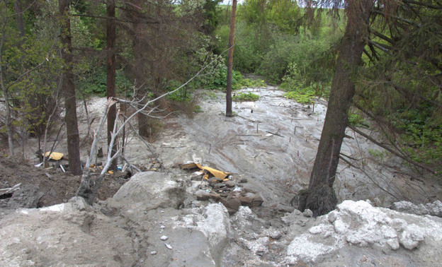 В Кирове неизвестные слили около 360 кубометров бетона в лесу: возбуждено уголовное дело