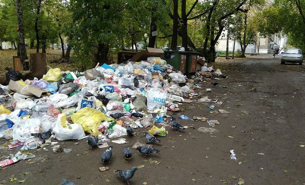 Кировские УК обязали ежедневно отчитываться о вывозе мусора