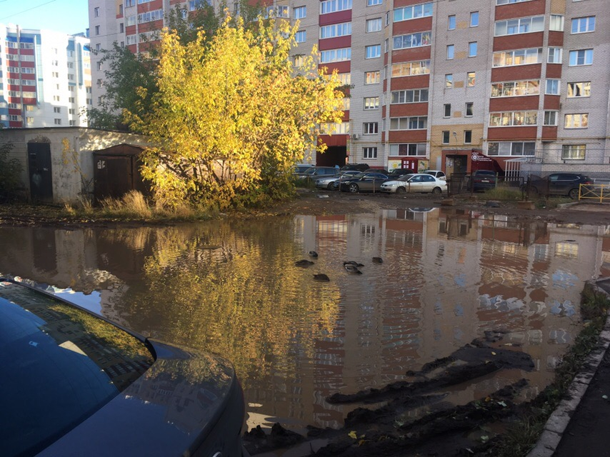 На Орджоникидзе во дворе дома появился пруд с утками