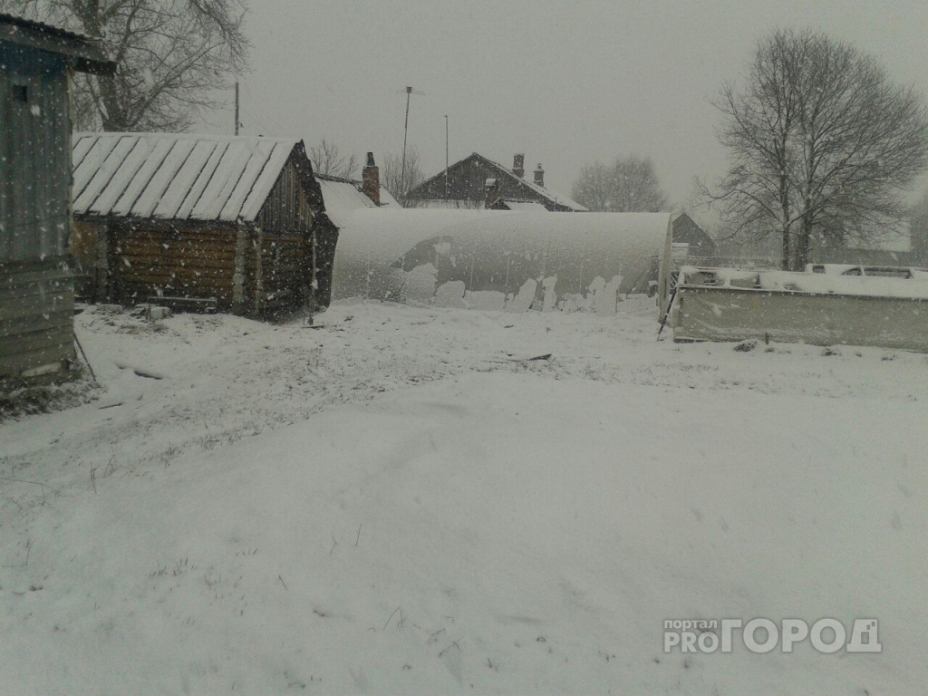 Высота снежного покрова в Кировской области увеличилась до 7 сантиметров