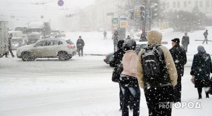 Синоптики опубликовали долгосрочный прогноз на зиму 2018-2019 года в Кирове