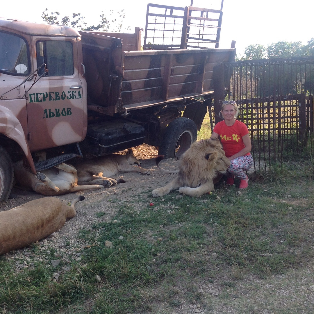 Кировчанка, которую укусил лев в Крыму: "Заставляли врать, что руку мне разорвала собака"