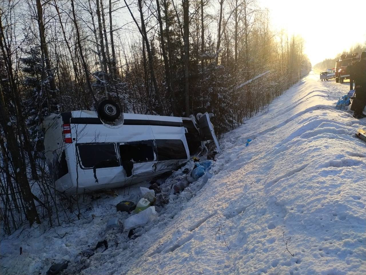 В Кировской области опрокинулся микроавтобус: пострадавших увезли на скорой
