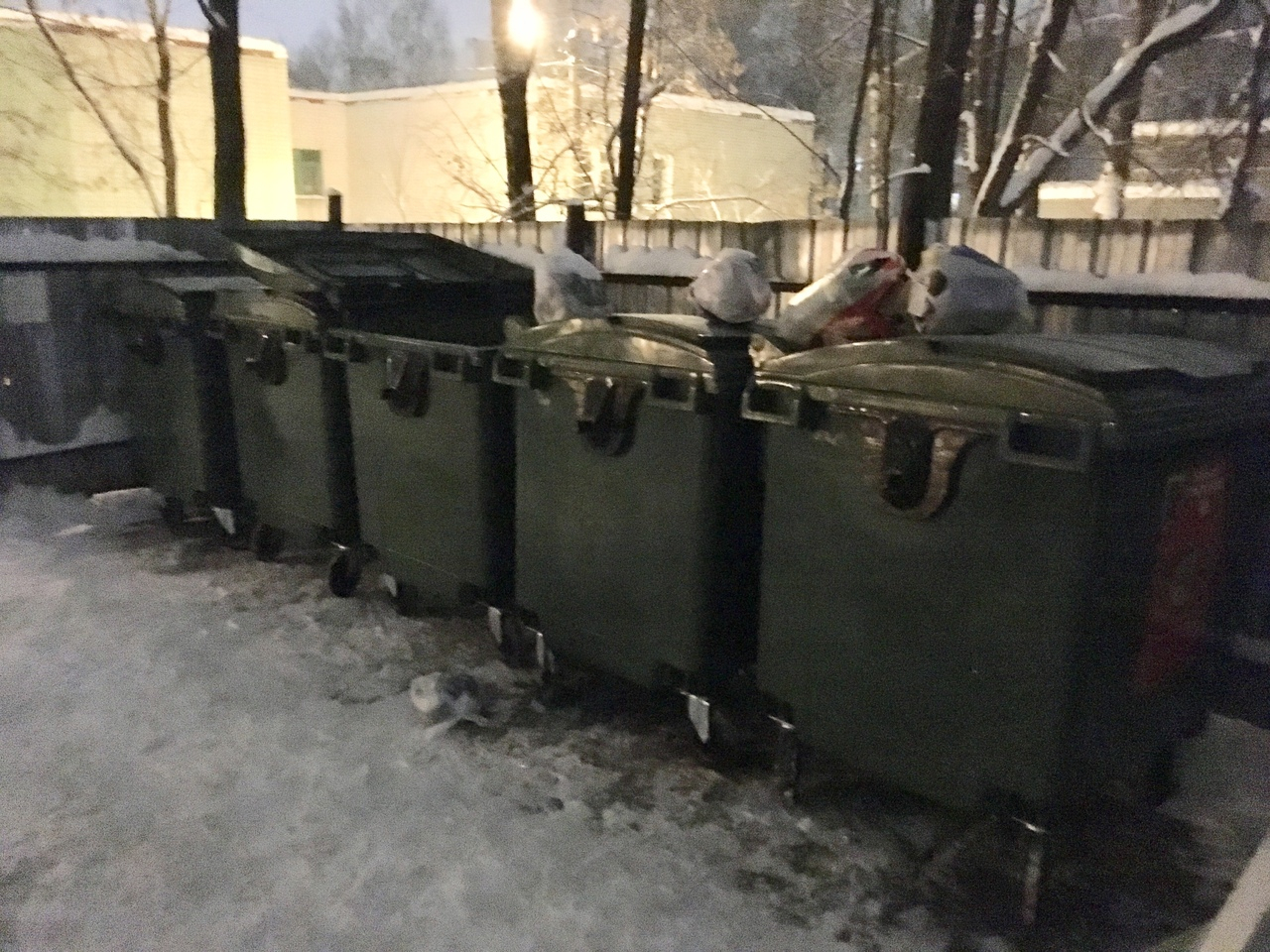 В Кирове поставили новые контейнеры, которыми противно пользоваться