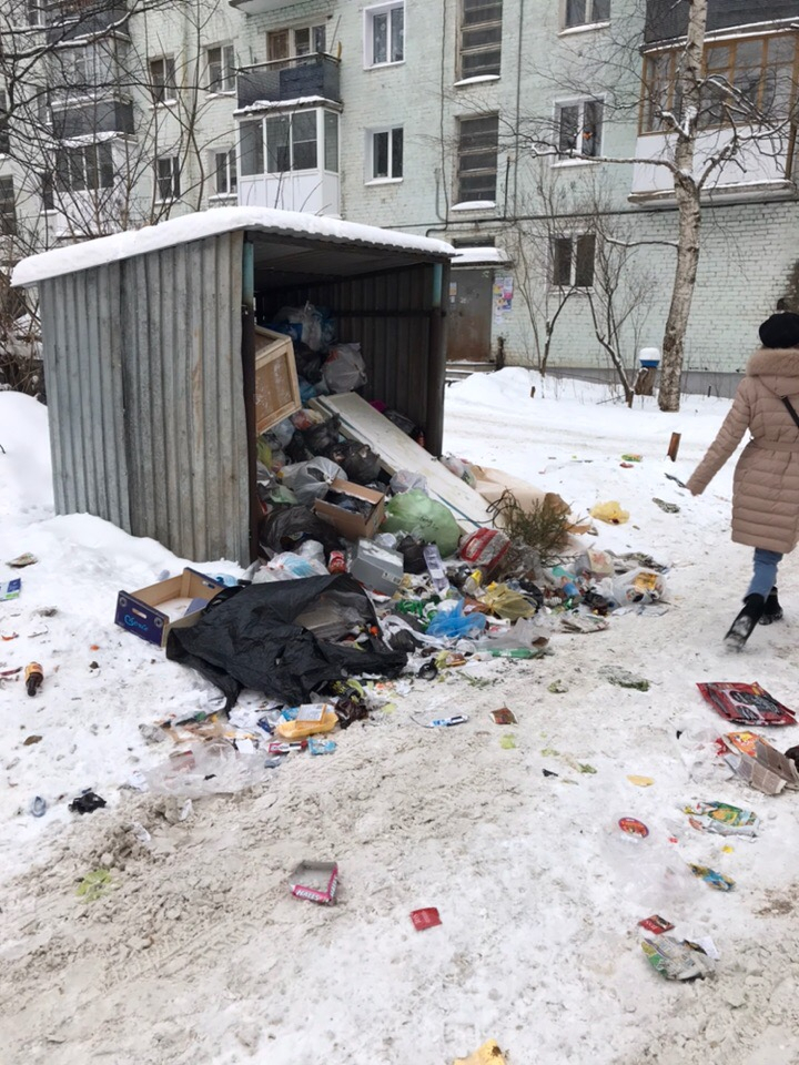 Из-за мусора Киров сравнили с трущобами в сюжете федерального канала