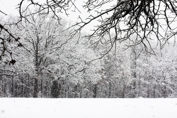 В Кирове прогнозируют потепление и снегопады