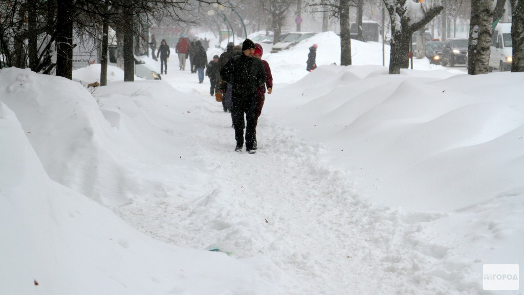 Метель и мороз: в Кировской области объявили метеопредупреждение