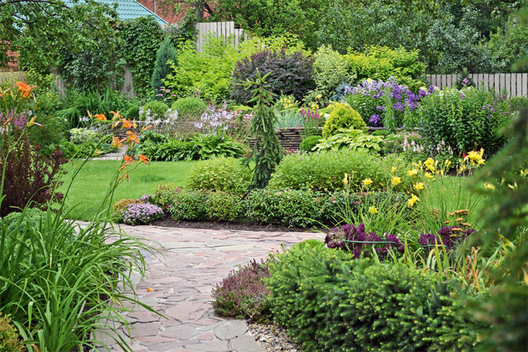 Садоводчица Галина: "Моему саду завидуют все соседи"