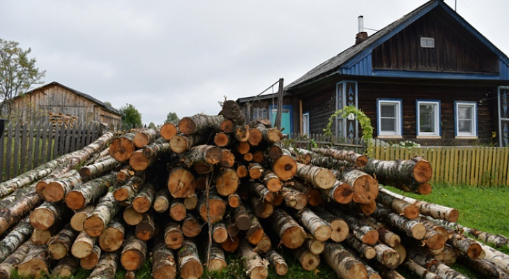 В Кировской области будут контролировать цены на дрова
