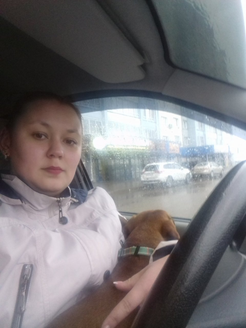"Ходила с собакой на работу, чтобы кормить ее 6 раз в день": история девушки из Кирова, помогающей бездомным таксам