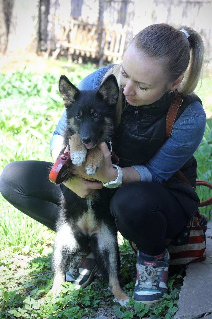 "Я не сдержалась и заплакала, потому что поняла, что собака слепая": девушка-астматик помогает животным