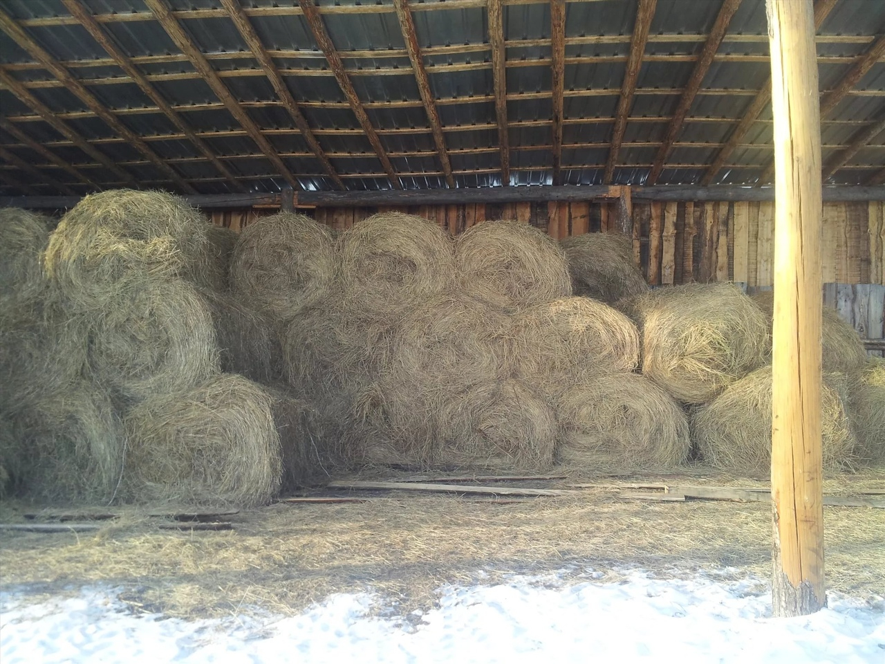 В Кировской области мужчины украли 50 тонн сена