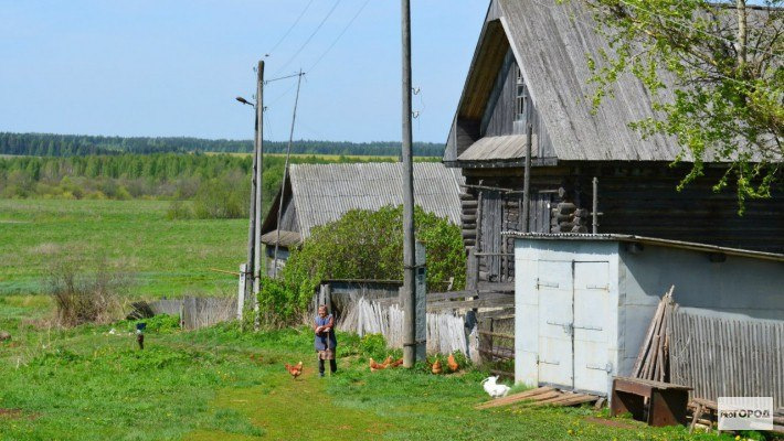Кировчане могут  бесплатно получить землю в Вологодской области