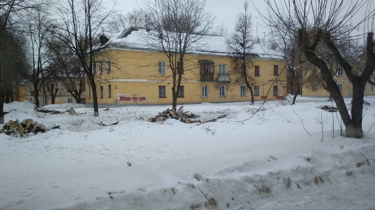В Кирове вырубили деревья в сквере у завода ОЦМ