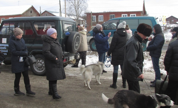 В деревне Кировской области объявили карантин по бешенству