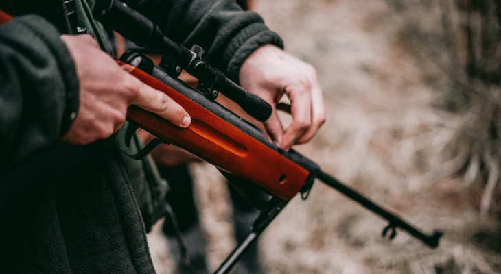 В Кировской области изменились правила распределения разрешений на охоту