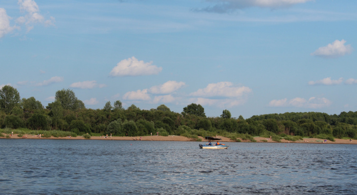 В реке Великой в Кировской области нашли опасную медь и мышьяк