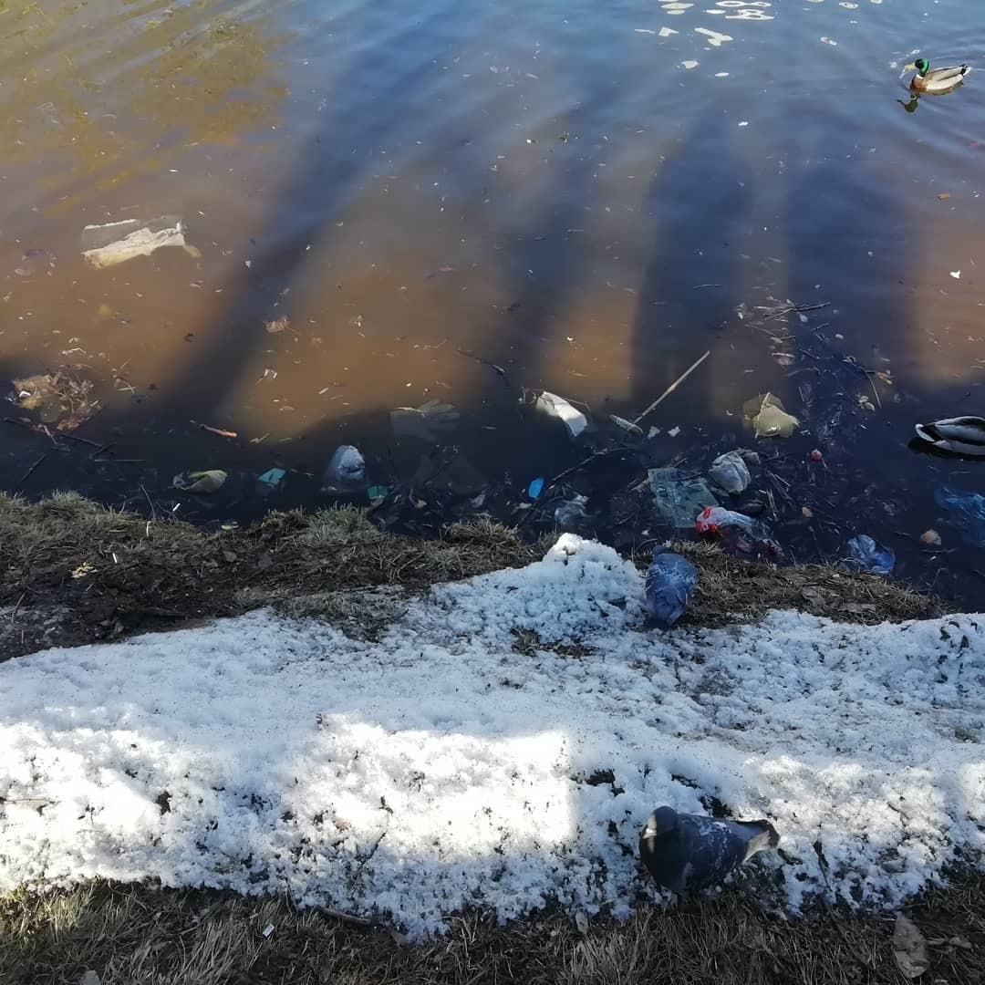«Разрушенные тротуары и пакеты в пруду»: горожане жалуются на состояние парка имени Кирова