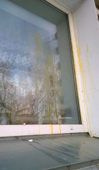В Нововятске подростки обкидывают окна домов яйцами