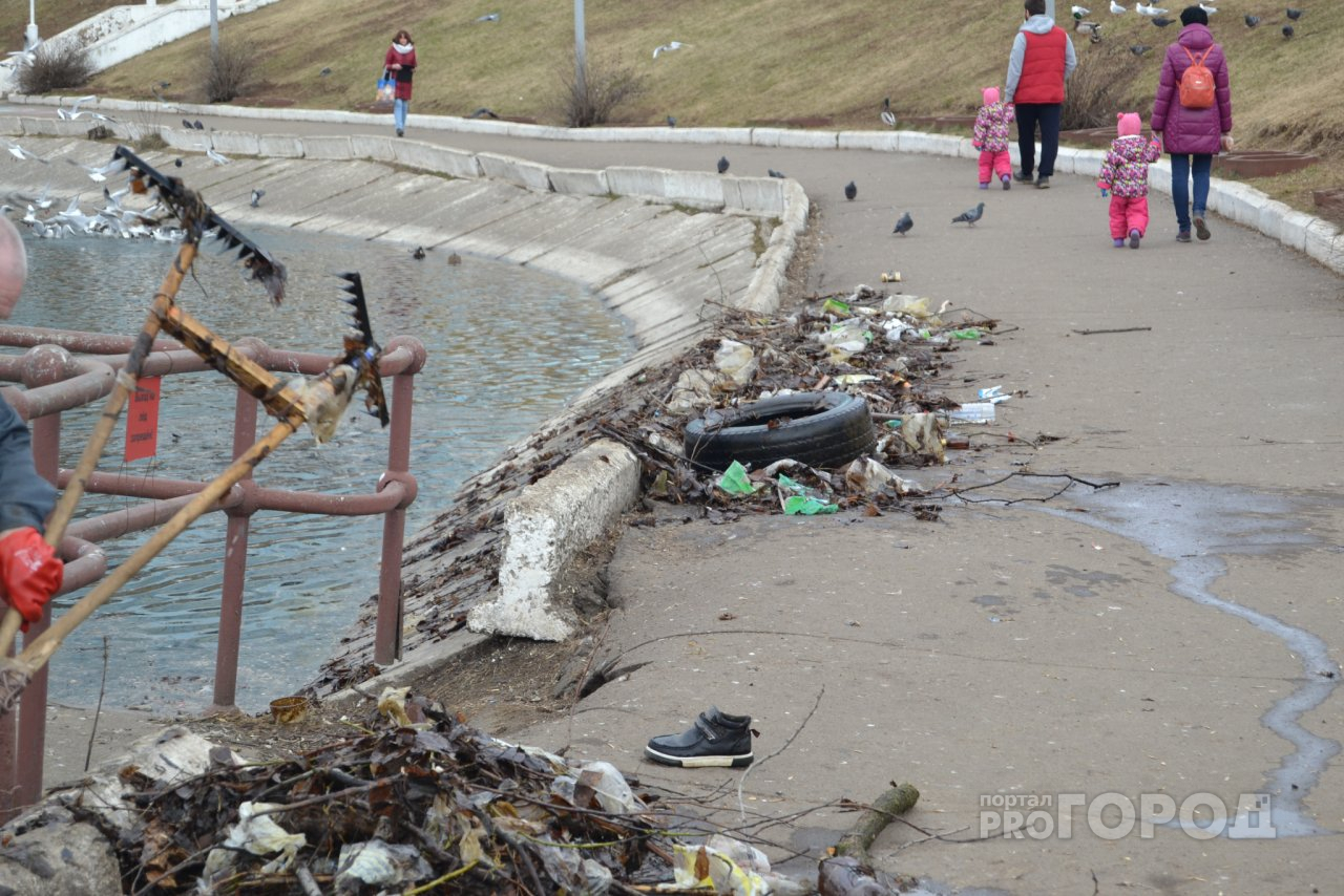 Видео: покрышки, ботинки, бутылки и другой мусор достали из пруда у цирка в Кирове