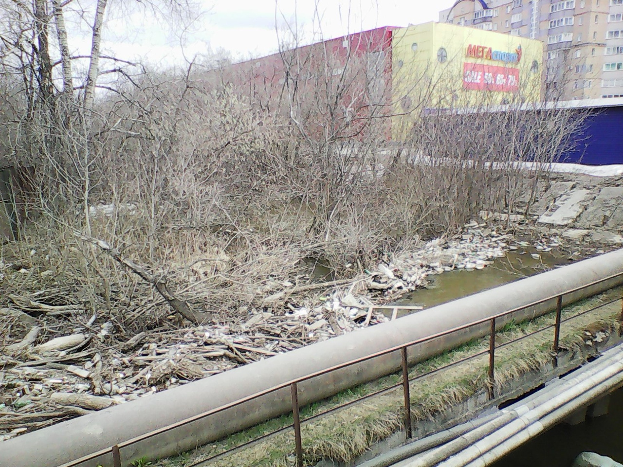Кировчане просят властей почистить реку Хлыновку от мусора