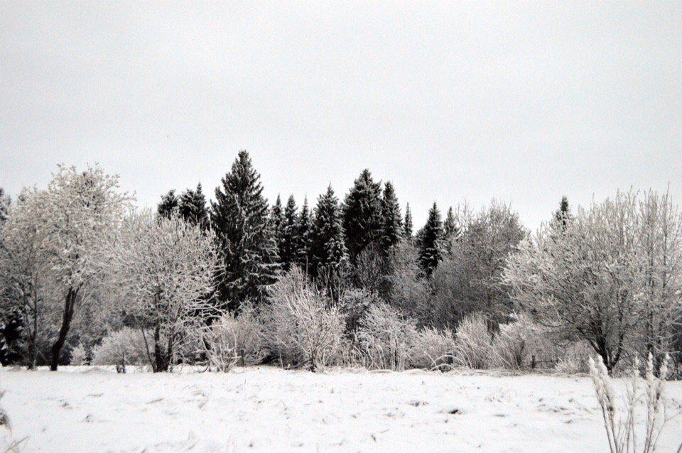 Фоторепортаж из соцсетей: апрельский снегопад в Кировской области