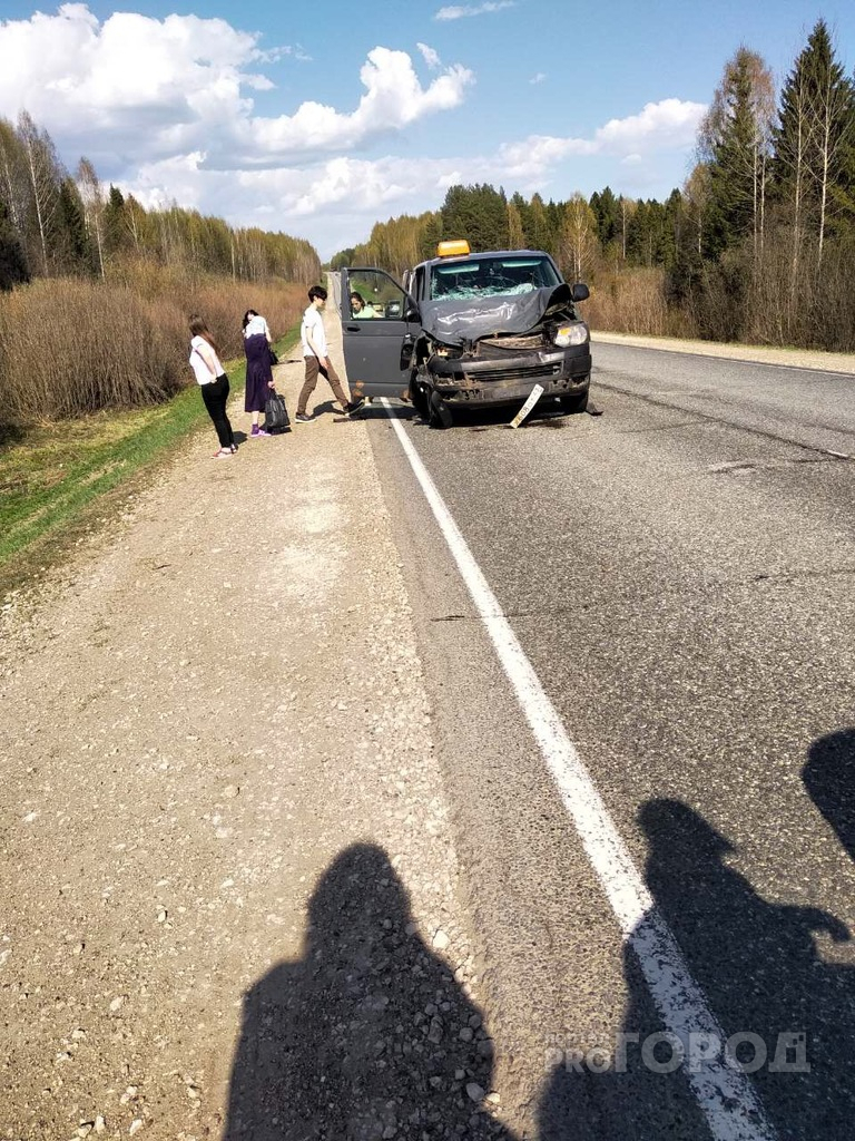 В Кировской области лось на дороге спровоцировал ДТП: среди пострадавших ребенок