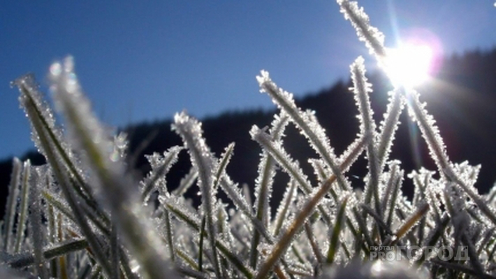 Из-за заморозков в Кировской области объявлено метеопредупреждение