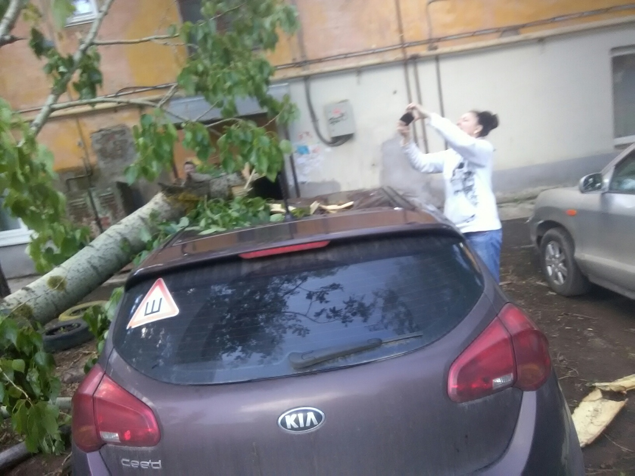 На улице Дзержинского деревом придавило машину