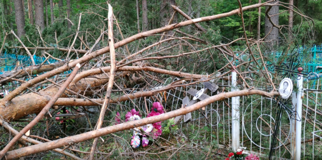 В Кировской области ураган повалил десятки деревьев на могилы и памятники
