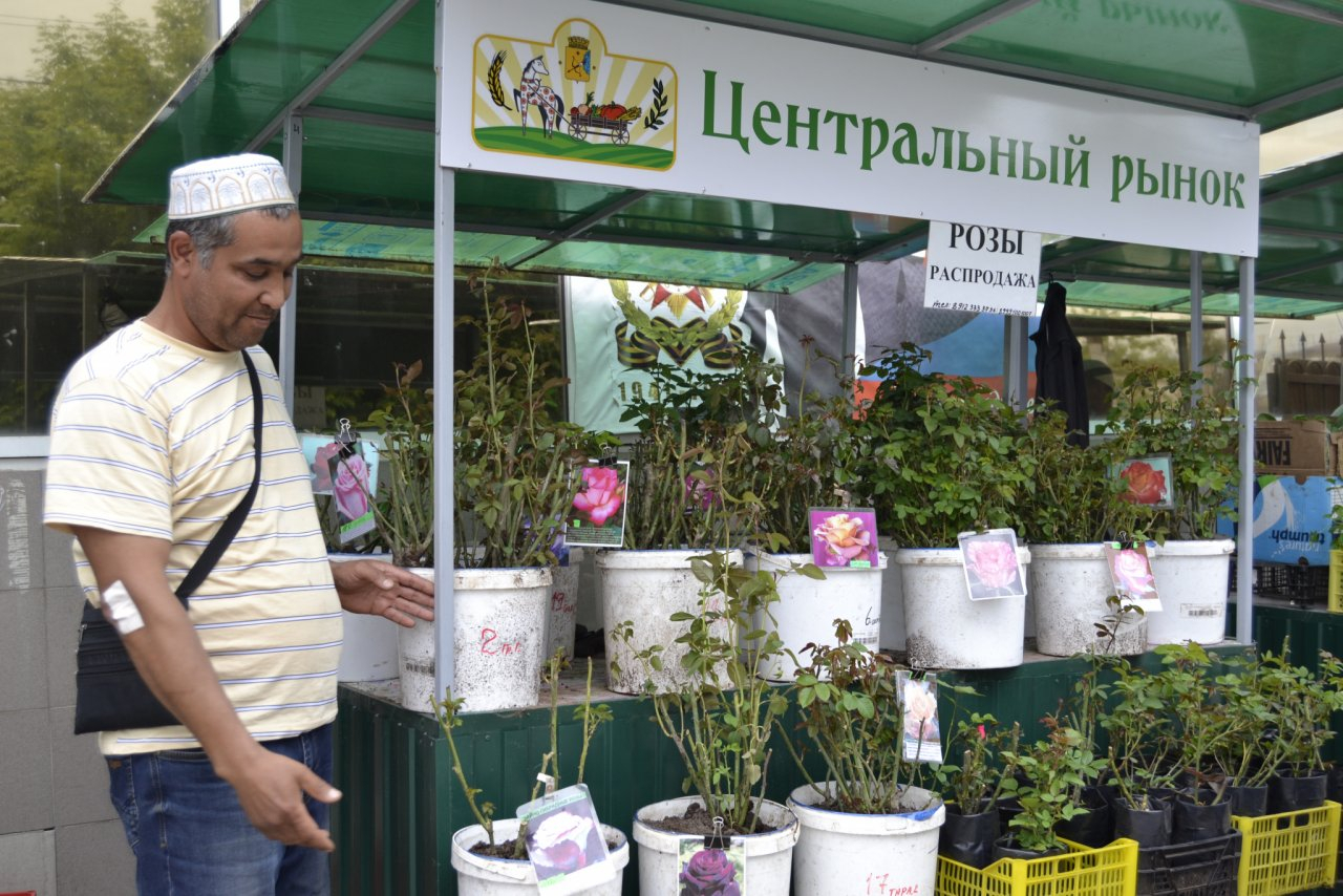 Кировским садоводам предложили места торговли на рынках за 25 рублей
