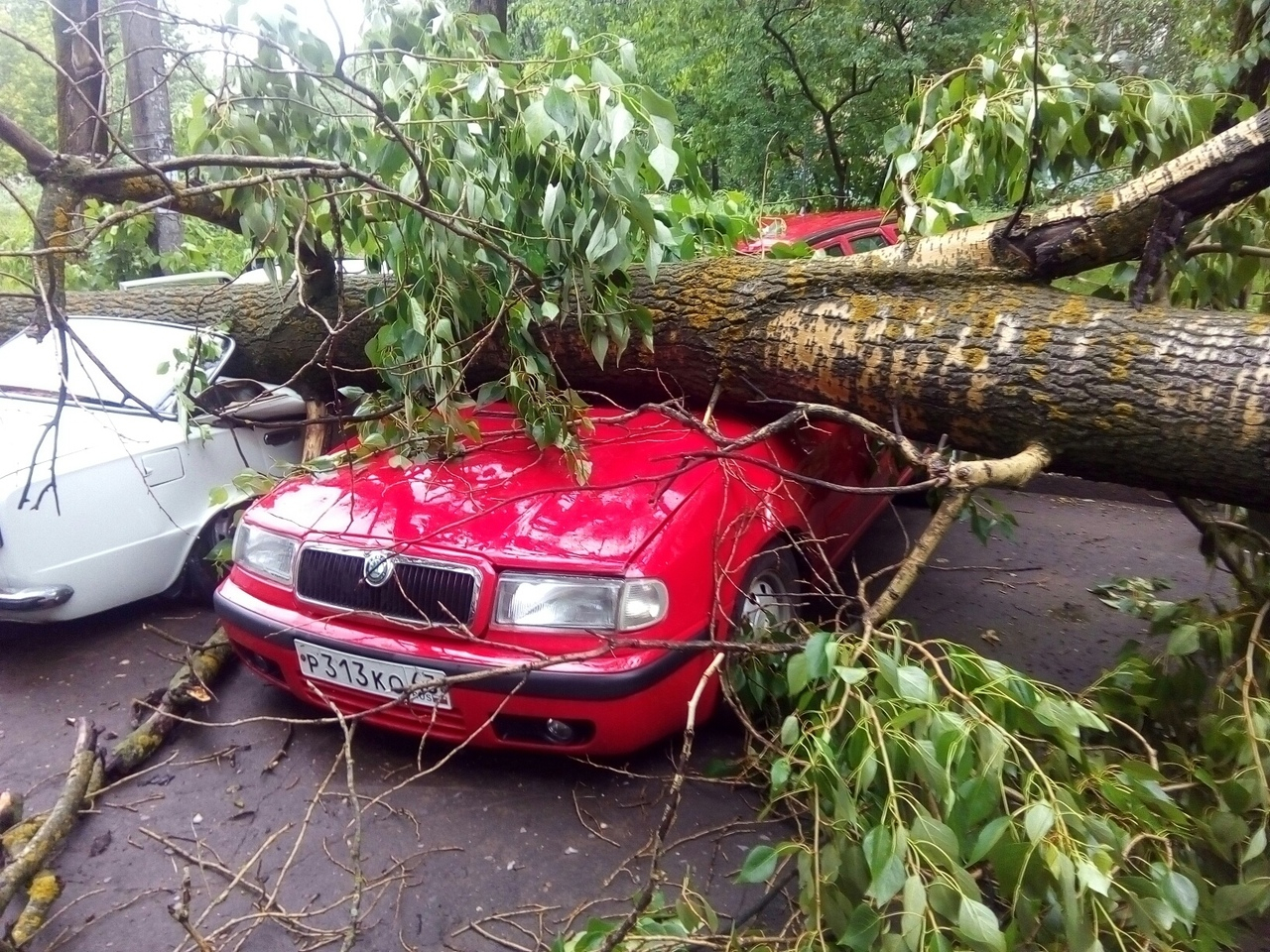«Летающий» батут, сорванные крыши и падающие на людей деревья: по Кирову прошел ураган