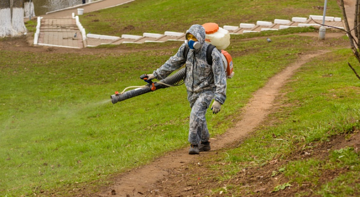 Кировские парки повторно обработали от клещей к Дню города