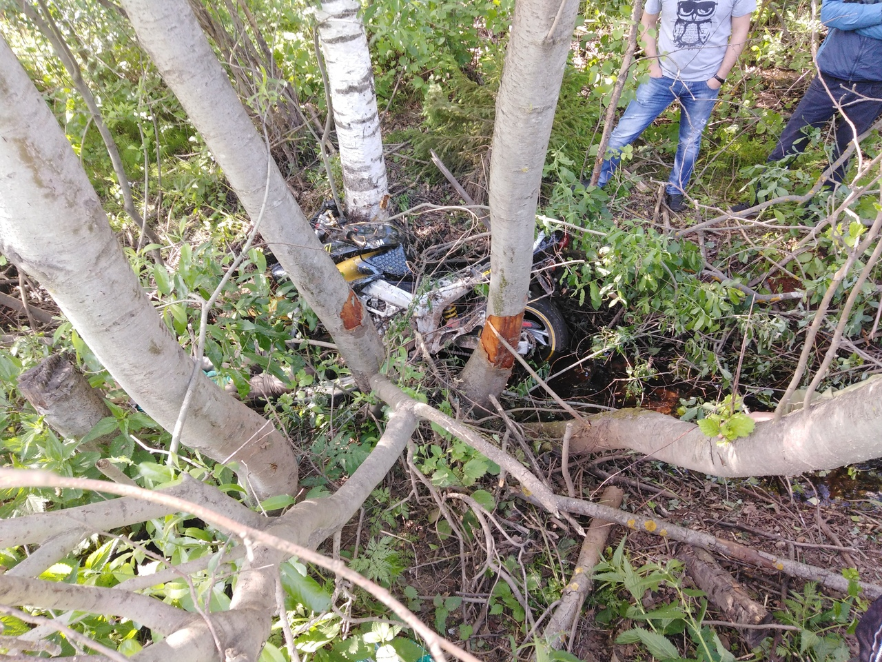 Появились фото с места аварии в Кировской области, где погибли супруги