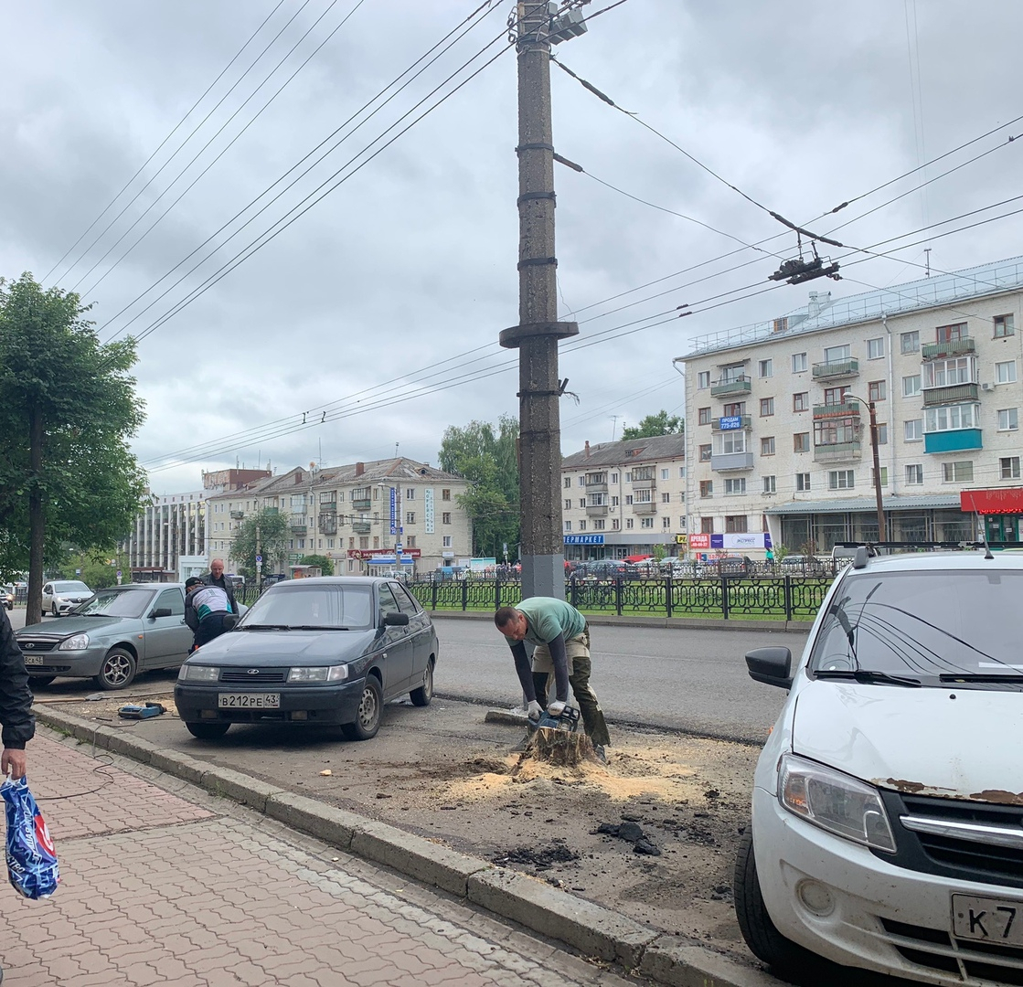 Проверка после публикации: деревья на Октябрьском проспекте вырубили незаконно