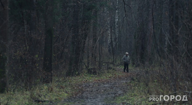 Прошел 30 километров в поисках выхода, но грибы не бросил: в двух районах Кировской области нашли пропавших