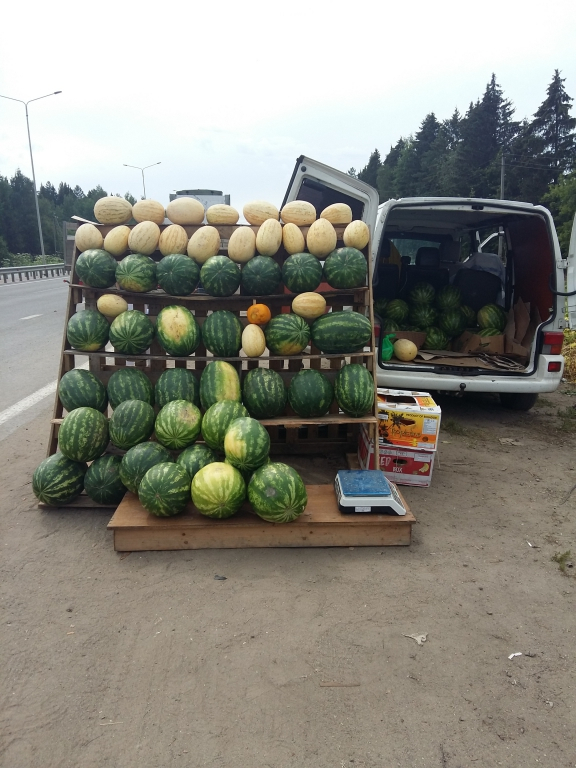 В Кирове продавцов арбузов оштрафовали за торговлю у дороги