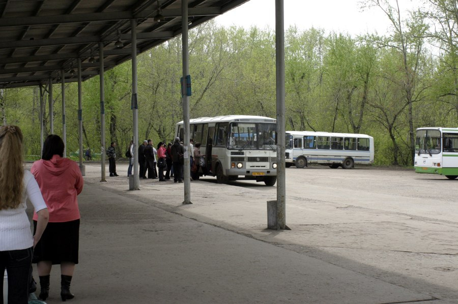 В Кирове среди пассажиров автобусов объявили конкурс на бесплатный проезд