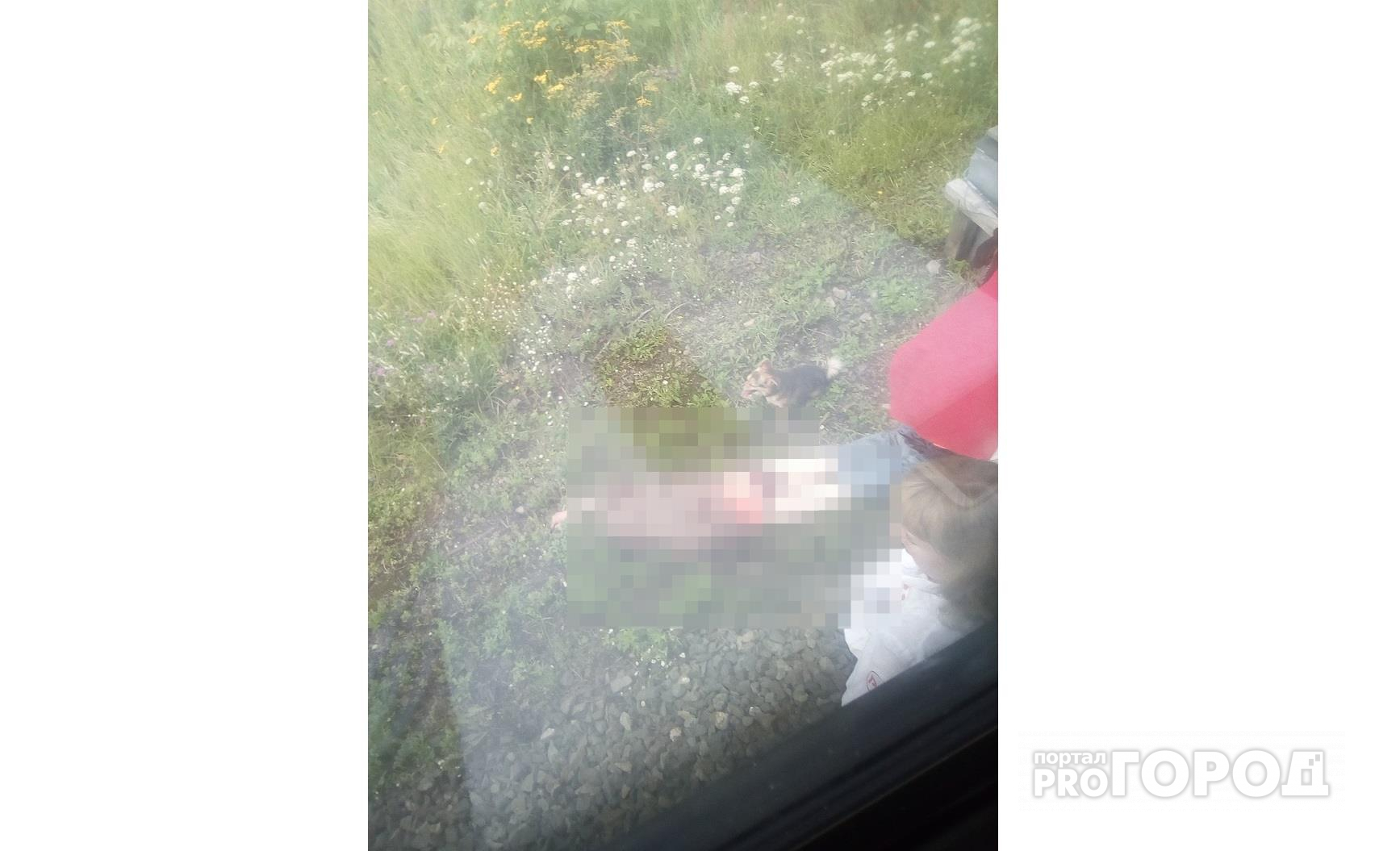 Утром под Кировом пассажирский поезд насмерть сбил женщину